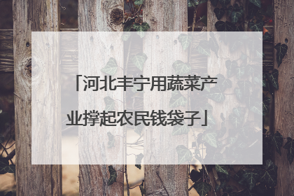 河北丰宁用蔬菜产业撑起农民钱袋子