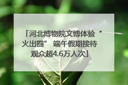河北博物院文博体验“火出圈” 端午假期接待观众超4.6万人次