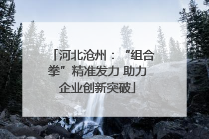 河北沧州：“组合拳”精准发力 助力企业创新突破