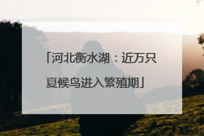 河北衡水湖：近万只夏候鸟进入繁殖期