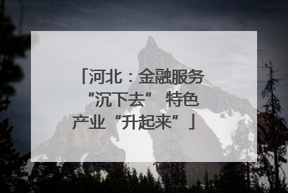 河北：金融服务“沉下去” 特色产业“升起来”