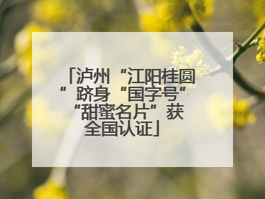 泸州“江阳桂圆”跻身“国字号” “甜蜜名片”获全国认证
