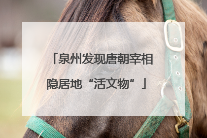 泉州发现唐朝宰相隐居地“活文物”