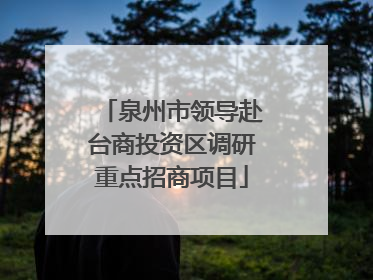 泉州市领导赴台商投资区调研重点招商项目
