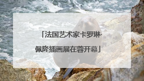 法国艺术家卡罗琳·佩隆插画展在蓉开幕
