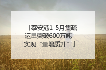 泰安港1-5月集疏运量突破600万吨 实现“量增质升”