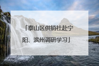 泰山区供销社赴宁阳、滨州调研学习