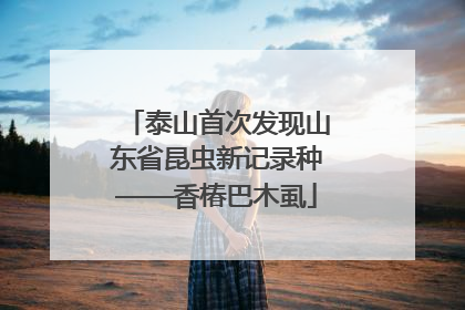 泰山首次发现山东省昆虫新记录种——香椿巴木虱