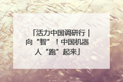 活力中国调研行｜向“智”！中国机器人“跑”起来