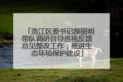 洛江区委书记颜丽明带队调研督导巡视反馈意见整改工作，推进生态环境保护建设