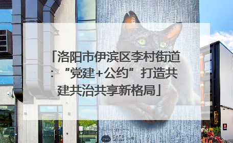 洛阳市伊滨区李村街道：“党建+公约”打造共建共治共享新格局