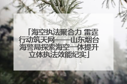 海空执法聚合力 雷霆行动筑天网——山东烟台海警局探索海空一体提升立体执法效能纪实