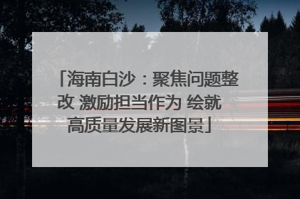 海南白沙：聚焦问题整改 激励担当作为 绘就高质量发展新图景
