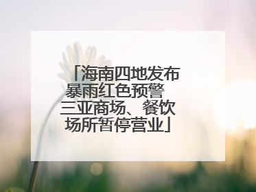 海南四地发布暴雨红色预警 三亚商场、餐饮场所暂停营业