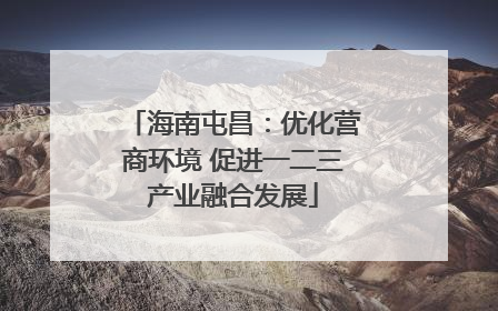 海南屯昌：优化营商环境 促进一二三产业融合发展