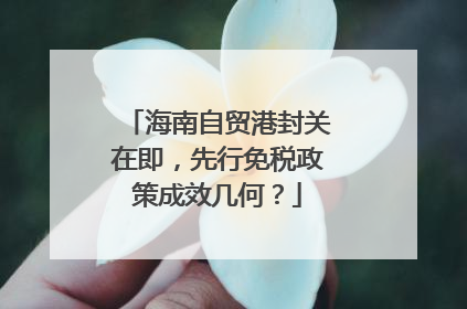 海南自贸港封关在即，先行免税政策成效几何？
