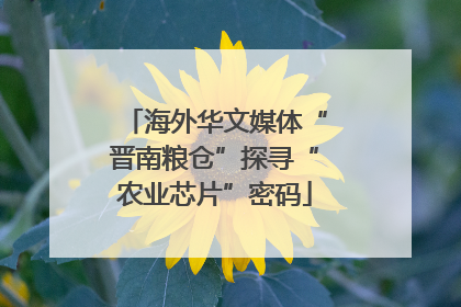 海外华文媒体“晋南粮仓”探寻“农业芯片”密码