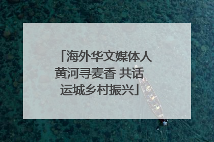 海外华文媒体人黄河寻麦香 共话运城乡村振兴