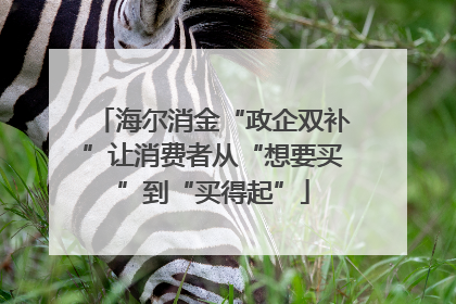 海尔消金“政企双补”让消费者从“想要买”到“买得起”