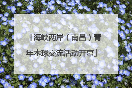 海峡两岸（南昌）青年木球交流活动开幕