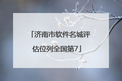 济南市软件名城评估位列全国第7