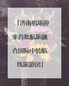 济南机场迎来首批航旅融合国际中转航线旅游团