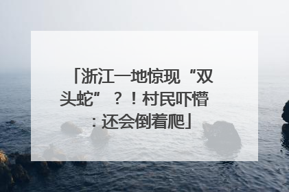 浙江一地惊现“双头蛇”？！村民吓懵：还会倒着爬
