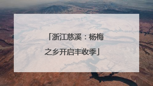 浙江慈溪：杨梅之乡开启丰收季