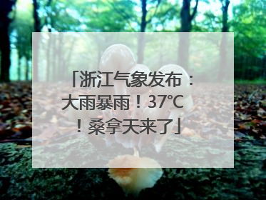 浙江气象发布：大雨暴雨！37℃！桑拿天来了