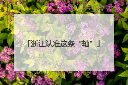 浙江认准这条“轴”