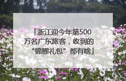 浙江迎今年第500万名广东旅客，收到的“锦鲤礼包”都有啥