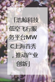 浩鲸科技低空飞行服务平台MWC上海首秀，推动产业创新