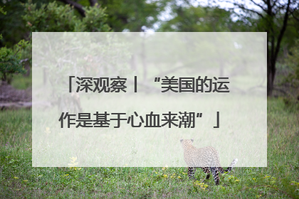 深观察丨“美国的运作是基于心血来潮”