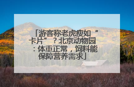 游客称老虎瘦如“卡片”？北京动物园：体重正常，饲料能保障营养需求