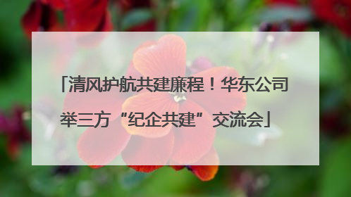 清风护航共建廉程！华东公司举三方“纪企共建”交流会
