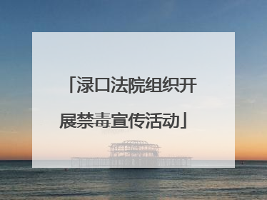 渌口法院组织开展禁毒宣传活动
