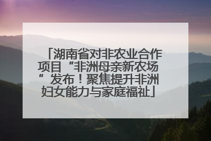 湖南省对非农业合作项目“非洲母亲新农场”发布！聚焦提升非洲妇女能力与家庭福祉