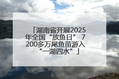 湖南省开展2025年全国“放鱼日” 7200多万尾鱼苗游入“一湖四水”