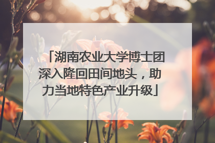 湖南农业大学博士团深入隆回田间地头，助力当地特色产业升级