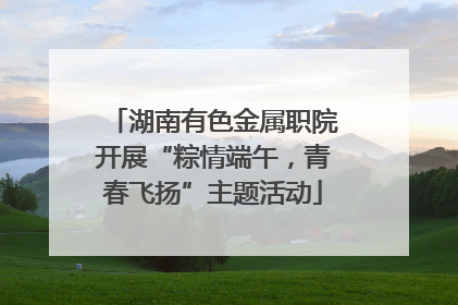 湖南有色金属职院开展“粽情端午，青春飞扬”主题活动
