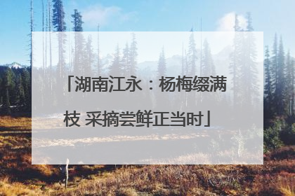 湖南江永：杨梅缀满枝 采摘尝鲜正当时