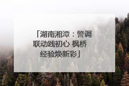 湖南湘潭：警调联动践初心 枫桥经验焕新彩