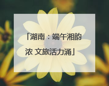 湖南：端午湘韵浓 文旅活力涌