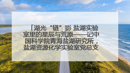 湖光“链”影 盐湖实验室里的星辰与荒原——记中国科学院青海盐湖研究所，盐湖资源化学实验室党总支书记、副主任刘忠