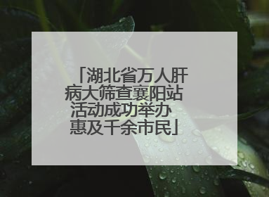 湖北省万人肝病大筛查襄阳站活动成功举办 惠及千余市民
