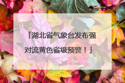湖北省气象台发布强对流黄色省级预警！