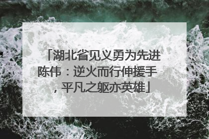 湖北省见义勇为先进陈伟：逆火而行伸援手，平凡之躯亦英雄