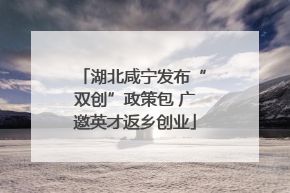 湖北咸宁发布“双创”政策包 广邀英才返乡创业