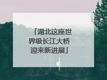 湖北这座世界级长江大桥迎来新进展