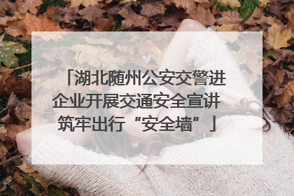 湖北随州公安交警进企业开展交通安全宣讲筑牢出行“安全墙”
